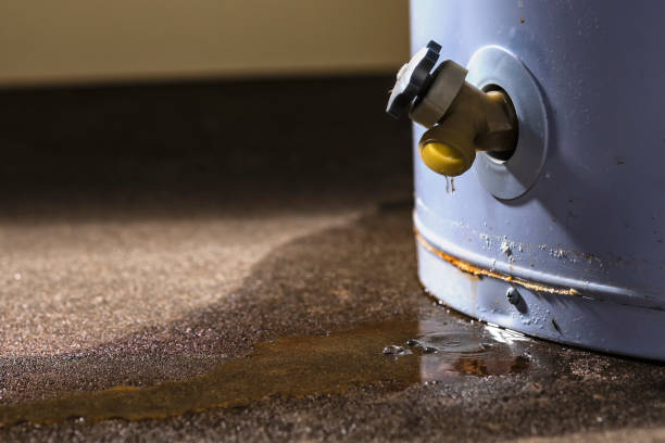 Best Water damage restoration mold remediation  in Vermillion, SD