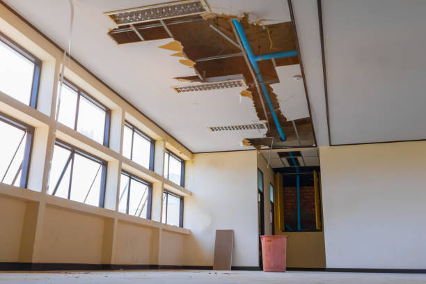 Best Basement water damage restoration  in Vermillion, SD
