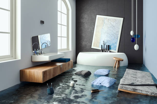 Best Professional water damage repair  in Vermillion, SD
