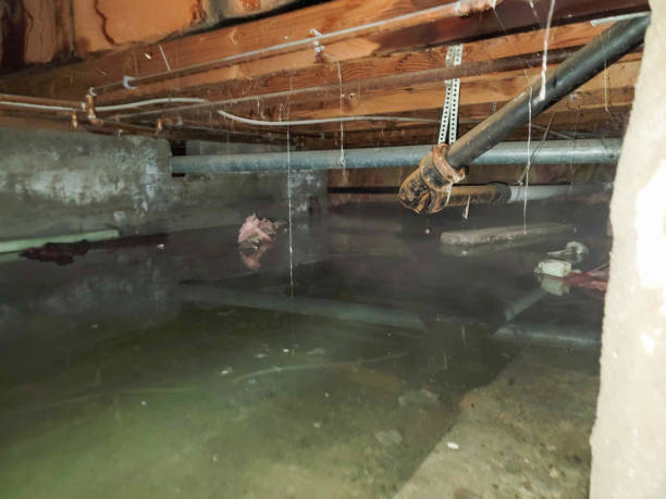 Best Water damage contractors near me  in Vermillion, SD
