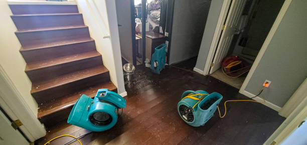 Best Carpet water damage restoration  in Vermillion, SD