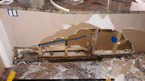 Best Carpet water damage restoration  in Vermillion, SD
