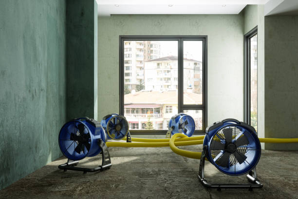 Best 24-hour water damage restoration  in Vermillion, SD