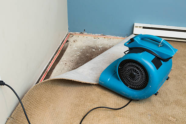 Carpet water damage restoration in SD
